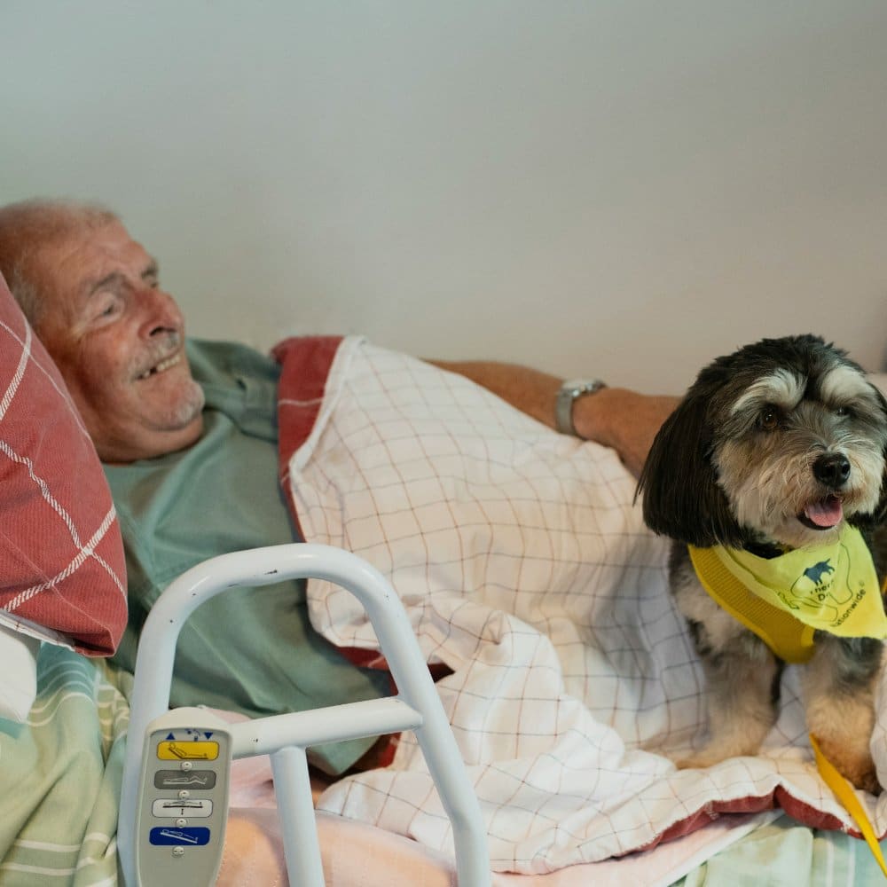 Person resting with a dog nearby.